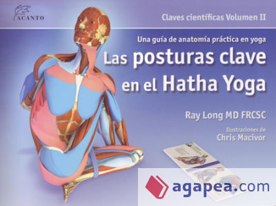 Las posturas clave en el hatha yoga