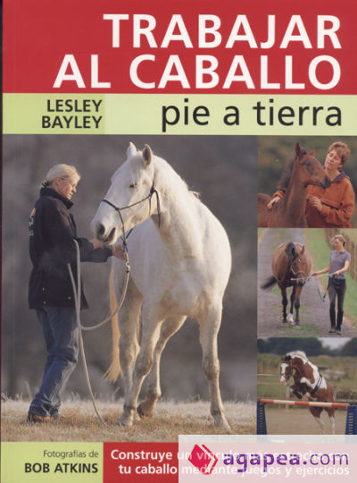 Trabajar al caballo pie a tierra