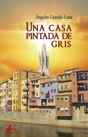 Portada de Una casa pintada de gris