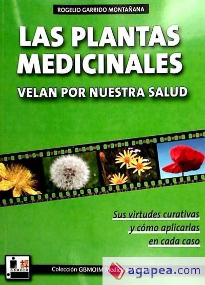 Las plantas medicinales velan por nuestra salud