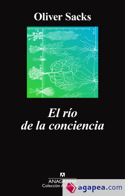 El río de la conciencia