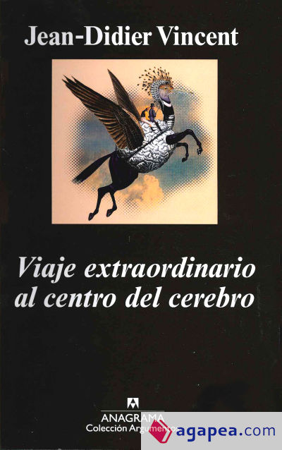 Viaje extraordinario al centro del cerebro