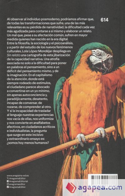 Sin relato