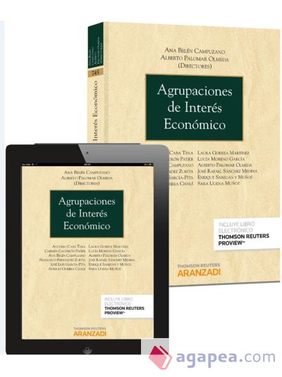 Agrupaciones de Interés Económico