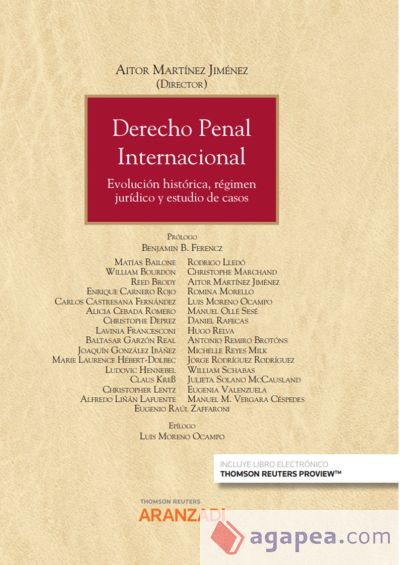 Derecho penal internacional