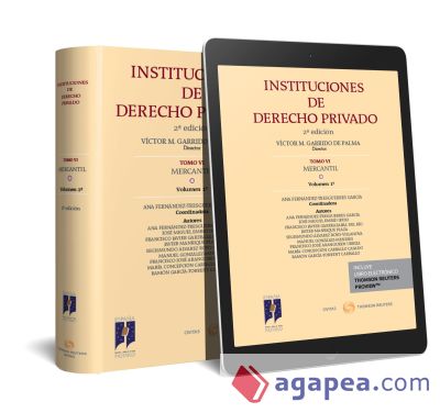 INSTITUCIONES DE DERECHO PRIVADO. TOMO VI MERCANTIL. Volumen 1º (Papel + e-book): Derecho de sociedades. Parte General