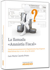 Portada de La llamada Amnistía Fiscal