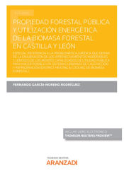 Portada de Propiedad forestal pública y utilización energética de la biomasa forestal en Castilla y León (Papel + e-book): (VER OBERVACIONES ABAJO...ES MUY LARGO Y NO CABE)