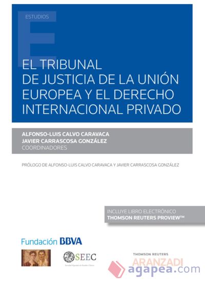 Tribunal de justicia de la uni?n europea y el derecho internacional privado, El