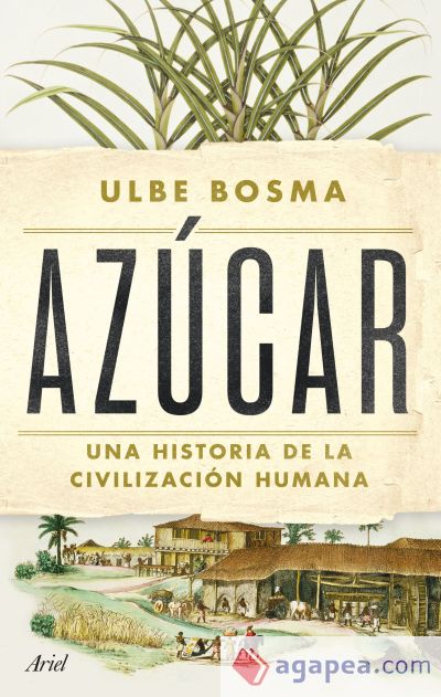 Azúcar