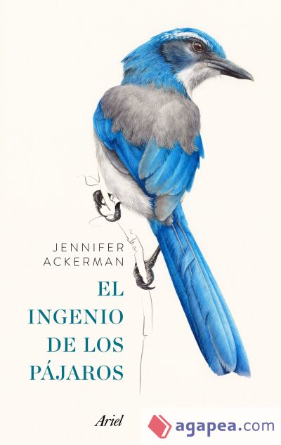 Pack El ingenio de los pájaros