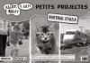 Portada de Ralet, ralet P4. Petits projectes. Material d ' aula