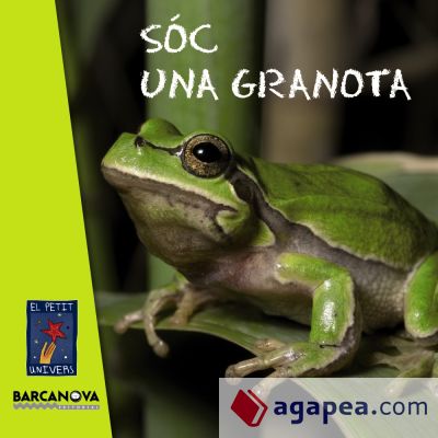 Sóc una granota