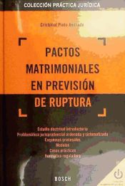 Portada de Pactos matrimoniales en previsión de ruptura