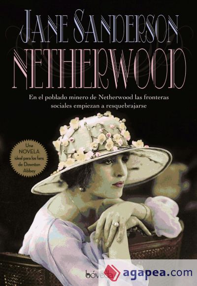 Netherwood (Ebook)