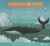 Contraportada de ¡Cómo mola tu escoba! y El caracol y la ballena, de Roberto Vivero Rodríguez