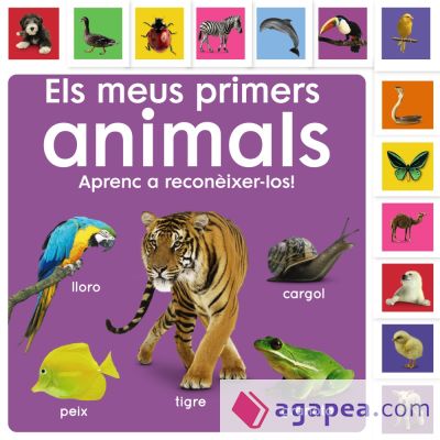 Els meus primers animals. Aprenc a reconèixer-los!