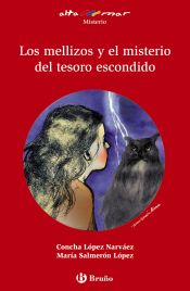 Portada de Los mellizos y el misterio del tesoro escondido