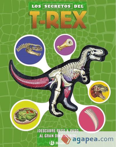 Los secretos del T. rex