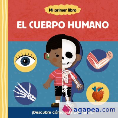 Mi primer libro sobre el cuerpo humano