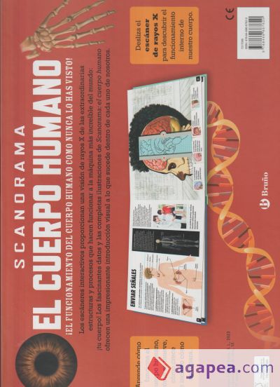 Scanorama. El cuerpo humano