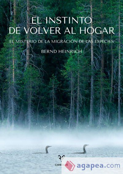 El instinto de volver al hogar El instinto de volver al hogar
