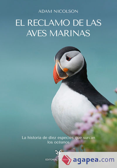 El reclamo de las aves marinas