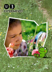 Portada de Libro Experimento 3 anos. Fervellos