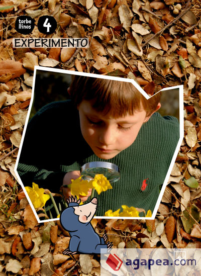 Libro Experimento Torbellinos 4 años