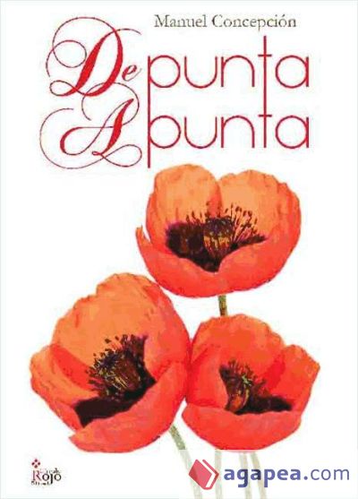 De punta a punta (Ebook)