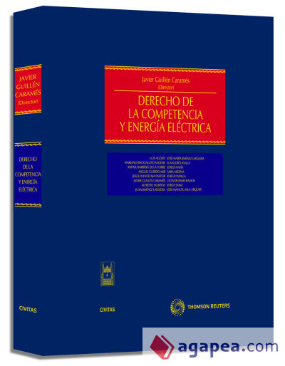 Derecho de la Competencia y Energía Eléctrica