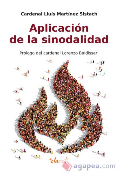 Aplicaci&oacute;n de la sinodalidad