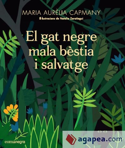 El gat negre mala bèstia i salvatge