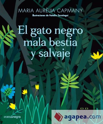 El gato negro mala bestia y salvaje