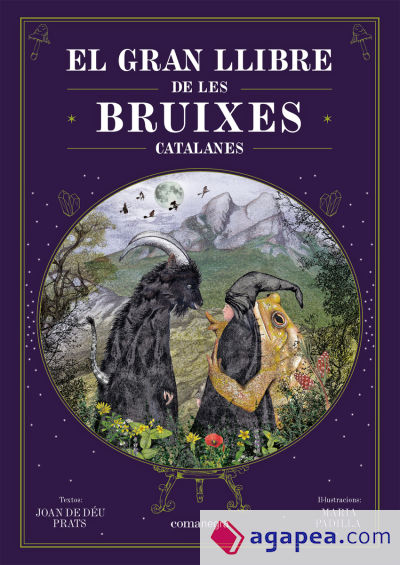 El gran llibre de les bruixes catalanes