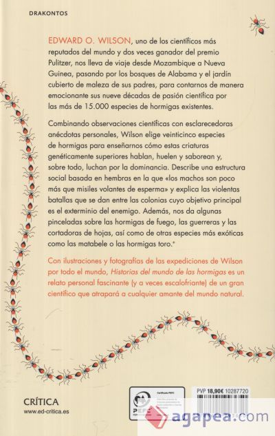 Historias del mundo de las hormigas