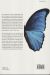 Contraportada de La desaparición de las mariposas, de Josef H. Reichholf