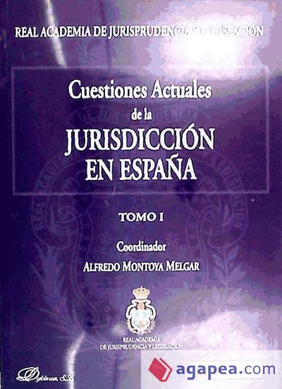 Cuestiones actuales de la jurisdicción en España. tomo I