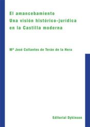 Portada de El amancebamiento. Una visión histórico-jurídica en la Castilla moderna