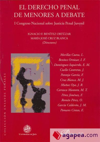 El derecho penal de menores a debate