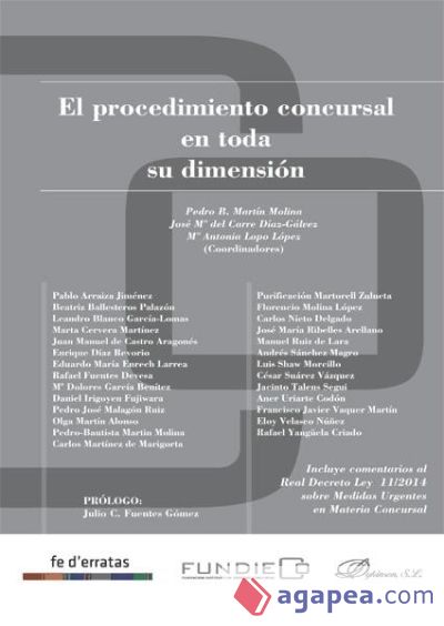 El procedimiento concursal en toda su dimensión