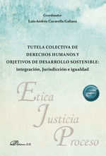 Portada de Tutela colectiva de derechos humanos y objetivos de desarrollo sostenible: integración, Jurisdicción e igualdad