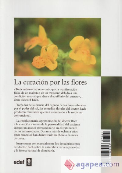 La curación por las flores