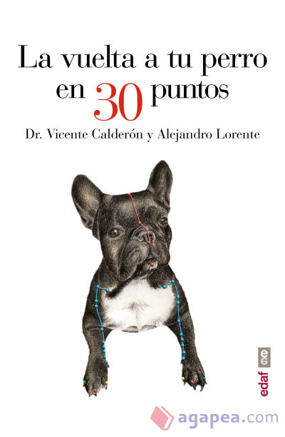 La vuelta a tu perro en 30 puntos