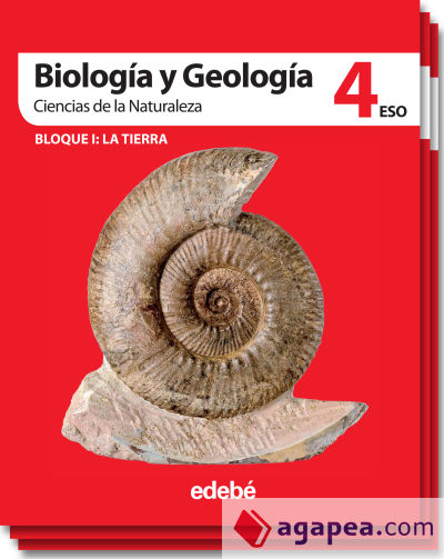 BIOLOGÍA Y GEOLOGÍA 4