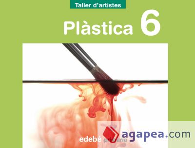 PLÀSTICA 6