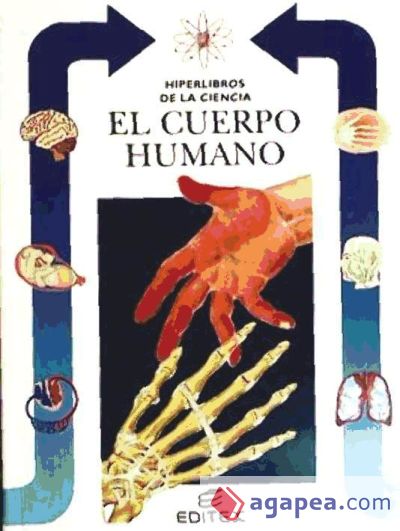 El cuerpo humano