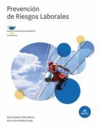 Portada de Prevención de riesgos laborales (Ebook)