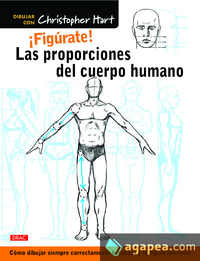 ¡Figúrate! Las proporciones del cuerpo humano