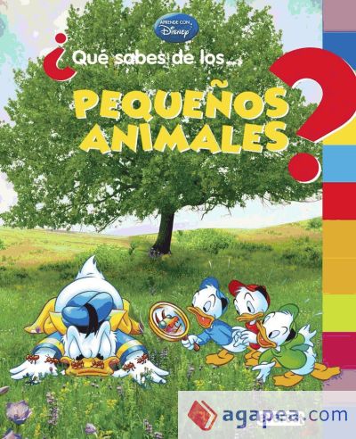 ¿Qué sabes de... los pequeños animales?